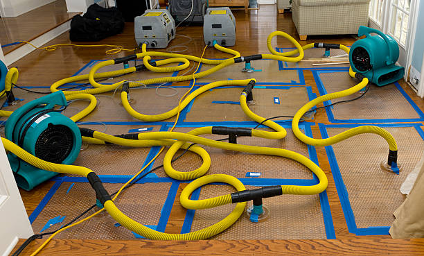 Professional Water Damage Repair technician working in Chippewa Lake, OH